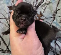 processed/2d77c190-e3f9-4e3b-b33b-db2f8a7cd204/listing/2b211faa-e95d-49e2-a016-e58a64e222ff/cfcc7c2f-76a9-4b5a-8fc0-e947c48028eb