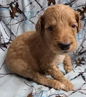 processed/2d77c190-e3f9-4e3b-b33b-db2f8a7cd204/listing/4ea9c5f2-63fc-4ce8-9997-a9256d3ba3f4/e13ac36a-a76e-4f47-9ce1-e838aef96f5c