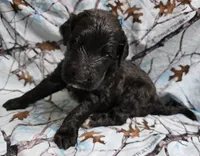 processed/2d77c190-e3f9-4e3b-b33b-db2f8a7cd204/listing/7850a961-d397-4c6f-9ca1-b49702504ade/8220e7c2-0dab-4c4a-aac3-46de11ec722b