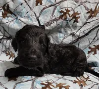 processed/2d77c190-e3f9-4e3b-b33b-db2f8a7cd204/listing/90415e20-3d0e-4e99-9aef-38de06fe21b3/7e0fc79e-ade6-44e4-b35e-991b38f93db0