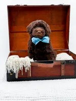 Larger Mini-Bruno, a male Miniature Goldendoodle for sale in Statesville, NC – Photo 6 of 10