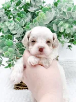 processed/2d7c127f-fa49-4e90-a446-fe9d93e21d13/listing/fced586b-1174-4f48-9062-73a06150332e/459e7c58-1da8-4648-a663-9add2f50d4e0