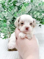 processed/2d7c127f-fa49-4e90-a446-fe9d93e21d13/listing/fced586b-1174-4f48-9062-73a06150332e/694a0b44-9e73-4e5d-9d06-a5bb21f70da5