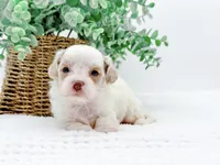 processed/2d7c127f-fa49-4e90-a446-fe9d93e21d13/listing/fced586b-1174-4f48-9062-73a06150332e/aa762e73-88c8-4624-84c1-e25d8f51d636