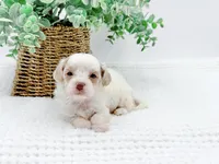 processed/2d7c127f-fa49-4e90-a446-fe9d93e21d13/listing/fced586b-1174-4f48-9062-73a06150332e/b650c78f-2794-4ebc-b90b-78586c6037ab