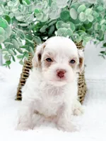 processed/2d7c127f-fa49-4e90-a446-fe9d93e21d13/listing/fced586b-1174-4f48-9062-73a06150332e/b756c2c3-4238-4130-b45d-4989d7831085