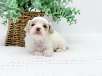 processed/2d7c127f-fa49-4e90-a446-fe9d93e21d13/listing/fced586b-1174-4f48-9062-73a06150332e/ba077f22-d9e8-4493-9bb9-ef03225dee96