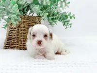 processed/2d7c127f-fa49-4e90-a446-fe9d93e21d13/listing/fced586b-1174-4f48-9062-73a06150332e/c02f5480-c115-4c0f-8e8d-2fb5f06805bd