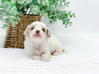 processed/2d7c127f-fa49-4e90-a446-fe9d93e21d13/listing/fced586b-1174-4f48-9062-73a06150332e/da698ec3-13a0-4e74-9bed-76b6adca9329