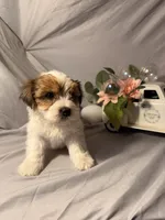 processed/2d821057-7a43-4d4c-bafe-0f24e84a8714/listing/6708ff8d-512f-40bc-8371-d394d11c9d20/2599b5c2-cd5b-47ba-9e65-3e8681e00654