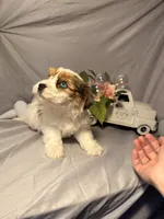 processed/2d821057-7a43-4d4c-bafe-0f24e84a8714/listing/6708ff8d-512f-40bc-8371-d394d11c9d20/d8ed53be-4202-4660-8473-79007836f279