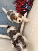 processed/2d821057-7a43-4d4c-bafe-0f24e84a8714/listing/6708ff8d-512f-40bc-8371-d394d11c9d20/e9178084-94a9-4cd7-9107-bc14639c5949