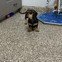 processed/2d8f3a39-a255-4d13-8350-394d7a0202c0/facility/19281a47-3ef8-4ded-ae80-6f497864e4fa