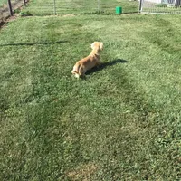 processed/2d8f3a39-a255-4d13-8350-394d7a0202c0/facility/5672a298-2d49-4719-8496-6501304083bb