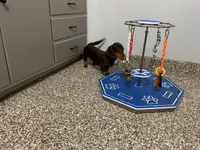 processed/2d8f3a39-a255-4d13-8350-394d7a0202c0/listing/a5a65ad9-578b-49fd-8954-7487af676eff/30a4935a-fe50-483b-904d-0a743a8ade67