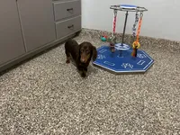 processed/2d8f3a39-a255-4d13-8350-394d7a0202c0/listing/a5a65ad9-578b-49fd-8954-7487af676eff/36427b85-d785-496a-a8a9-a6988e9d0792