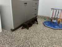 processed/2d8f3a39-a255-4d13-8350-394d7a0202c0/listing/a5a65ad9-578b-49fd-8954-7487af676eff/7351e1d0-9ee1-4206-b167-387a03c4f999