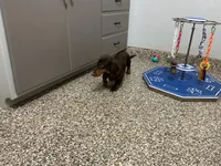 processed/2d8f3a39-a255-4d13-8350-394d7a0202c0/listing/a5a65ad9-578b-49fd-8954-7487af676eff/88ca0dbc-4fba-4189-ac0a-31e7f96abfc5