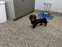 processed/2d8f3a39-a255-4d13-8350-394d7a0202c0/listing/feee9487-25e3-43b6-a3bd-20a8e5812903/18ea34e0-4d8d-47ec-8b5c-db3a75d98299