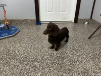 processed/2d8f3a39-a255-4d13-8350-394d7a0202c0/listing/feee9487-25e3-43b6-a3bd-20a8e5812903/36069004-8be9-43cb-82fc-94f8dd957b32