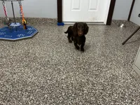 processed/2d8f3a39-a255-4d13-8350-394d7a0202c0/listing/feee9487-25e3-43b6-a3bd-20a8e5812903/7e4f52cf-4945-47ef-84d1-ab5fabb77a51