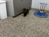 processed/2d8f3a39-a255-4d13-8350-394d7a0202c0/listing/feee9487-25e3-43b6-a3bd-20a8e5812903/bb237624-d43a-4215-8780-46f0e67fdc9c