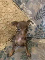 processed/2d8f5508-0f17-4f56-91e4-38fccbf12db4/listing/3b6433d5-8d1c-4aba-8ac5-5edde5f71020/147275a5-426e-468e-9340-99e10f872377