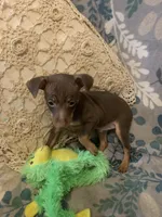 processed/2d8f5508-0f17-4f56-91e4-38fccbf12db4/listing/3b6433d5-8d1c-4aba-8ac5-5edde5f71020/1e681894-c026-4397-86b6-4fc3a6ac51c6