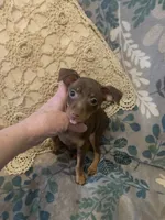 processed/2d8f5508-0f17-4f56-91e4-38fccbf12db4/listing/3b6433d5-8d1c-4aba-8ac5-5edde5f71020/254f5b6c-0425-4ff9-a641-0c1b6202901d