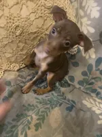 processed/2d8f5508-0f17-4f56-91e4-38fccbf12db4/listing/3b6433d5-8d1c-4aba-8ac5-5edde5f71020/fdccf998-dd47-41c5-8dde-e22bae74e402