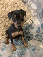 processed/2d8f5508-0f17-4f56-91e4-38fccbf12db4/listing/ccdf80b2-06e2-4066-a6d3-26467d105931/01a721a4-bd2e-4fec-a75d-5719c6a1ff78