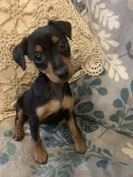 processed/2d8f5508-0f17-4f56-91e4-38fccbf12db4/listing/ccdf80b2-06e2-4066-a6d3-26467d105931/9a263102-33a4-4c6f-af4c-7c851147753c