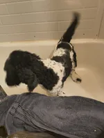 processed/2d9c5d7b-1736-407c-a0af-9073aa3c1047/listing/3c2bbf41-2e9d-4370-a20f-660de3f51458/459e1e4f-58f6-4b9a-9aad-93fd718f323a