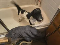 processed/2d9c5d7b-1736-407c-a0af-9073aa3c1047/listing/3c2bbf41-2e9d-4370-a20f-660de3f51458/78469b57-63bd-4581-b578-0a76b505bcff