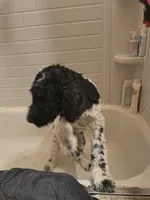 processed/2d9c5d7b-1736-407c-a0af-9073aa3c1047/listing/3c2bbf41-2e9d-4370-a20f-660de3f51458/a38bbea7-3fbe-45b5-b000-99f9d132ea28