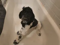 processed/2d9c5d7b-1736-407c-a0af-9073aa3c1047/listing/986af566-99a1-4f51-9422-7bd256e33951/2c4abbcc-1525-46d1-aa7b-58fdf45d2601