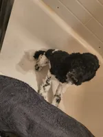 processed/2d9c5d7b-1736-407c-a0af-9073aa3c1047/listing/986af566-99a1-4f51-9422-7bd256e33951/80fa9fe8-3d58-409f-9148-47897ce03646