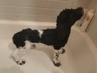 processed/2d9c5d7b-1736-407c-a0af-9073aa3c1047/listing/986af566-99a1-4f51-9422-7bd256e33951/8409759e-8b48-4bbd-8c17-d90021985c77