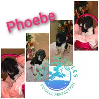 processed/2d9c5d7b-1736-407c-a0af-9073aa3c1047/listing/986af566-99a1-4f51-9422-7bd256e33951/a953966f-bd98-459e-b73c-c34a0d454718