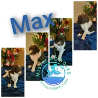 processed/2d9c5d7b-1736-407c-a0af-9073aa3c1047/listing/fe5a6674-2d44-4f41-9766-28f90a1a1dc9/388d536b-c51b-4b9b-acfd-c42f653c3cdd