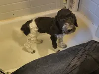 processed/2d9c5d7b-1736-407c-a0af-9073aa3c1047/listing/fe5a6674-2d44-4f41-9766-28f90a1a1dc9/4c89cfe7-d390-4d97-bb6d-cf7ead5dcb23