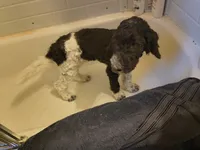 processed/2d9c5d7b-1736-407c-a0af-9073aa3c1047/listing/fe5a6674-2d44-4f41-9766-28f90a1a1dc9/f7153158-f1ed-4744-bc1f-d85f60f777a7