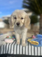 processed/2d9fdb4c-dce0-4b89-a62e-01d11e93396b/listing/7c54af1e-6fec-4f03-84b2-98623991e86a/0ba8fd5f-7c8a-44ce-82b1-52c34745541b