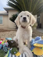 processed/2d9fdb4c-dce0-4b89-a62e-01d11e93396b/listing/7c54af1e-6fec-4f03-84b2-98623991e86a/48ee012c-5741-4fa5-a0a8-2068cac9c27a