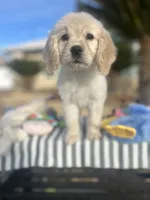 processed/2d9fdb4c-dce0-4b89-a62e-01d11e93396b/listing/7c54af1e-6fec-4f03-84b2-98623991e86a/6a013907-3513-4fc2-a058-10a1558af512