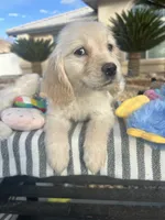 processed/2d9fdb4c-dce0-4b89-a62e-01d11e93396b/listing/7c54af1e-6fec-4f03-84b2-98623991e86a/d1f9c8fe-ea41-4f2b-88b9-c200d2d81472