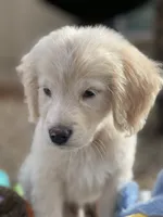 processed/2d9fdb4c-dce0-4b89-a62e-01d11e93396b/listing/7c54af1e-6fec-4f03-84b2-98623991e86a/d20783c3-b2cf-4a26-a3be-4114797eddf0