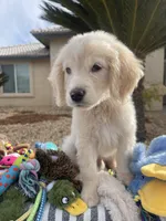 processed/2d9fdb4c-dce0-4b89-a62e-01d11e93396b/listing/7c54af1e-6fec-4f03-84b2-98623991e86a/f97eae7d-5554-4dcc-af59-33a24d201feb