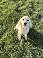 processed/2d9fdb4c-dce0-4b89-a62e-01d11e93396b/listing/a3000f95-749a-43d7-9bfe-6207e949a80c/0b17d8ed-6de0-4d2d-8301-54457cd30ed6