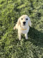 processed/2d9fdb4c-dce0-4b89-a62e-01d11e93396b/listing/a3000f95-749a-43d7-9bfe-6207e949a80c/55aeb647-3d0e-4296-aad4-4fe1bedca5dd